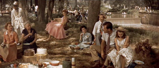 Picnic