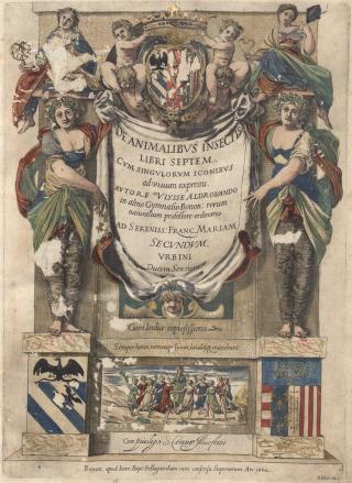 Ulisse Aldrovandi, “De animalibus insectis libri septem cum singulorum iconibus ad vivum expressis", versione a colori.