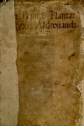 Erbario di Ulisse Aldrovandi, volume 1.