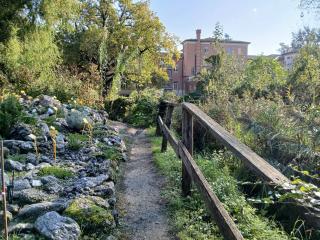 Orto Botanico di Bologna. Fotografia, novembre 2024
