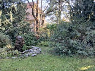Orto Botanico di Bologna. Fotografia, novembre 2024