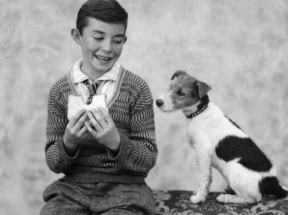 Boy eating sandwich as dog stares at food