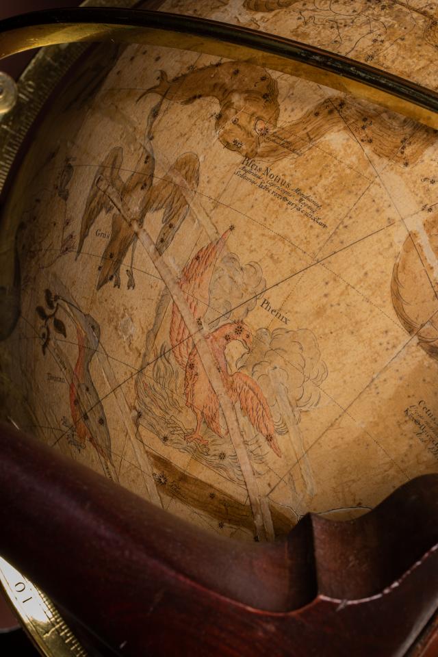 Globo celeste  di John Senex.  Particolare: le costellazioni della Fenice del Tucano e della Gru. Museo della Specola, Bologna