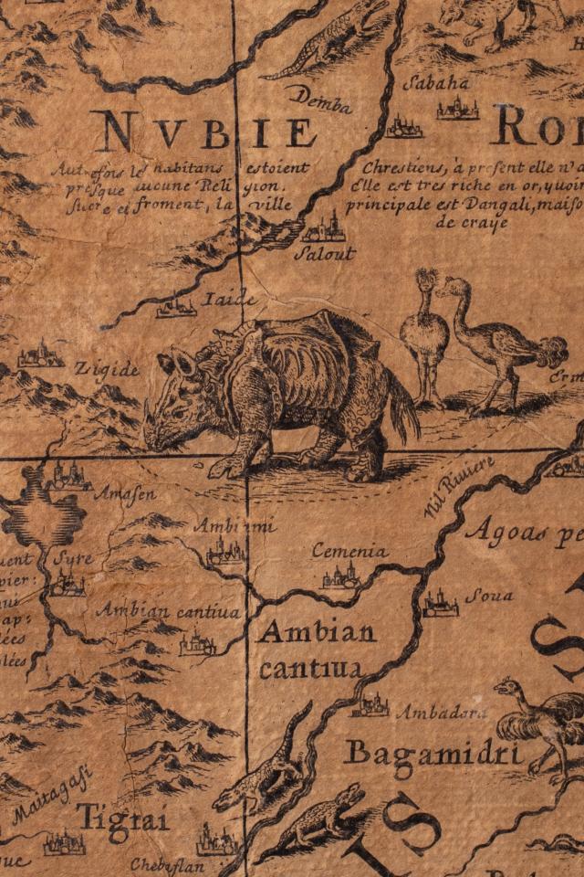 L’immagine è un dettaglio del continente africano; si vede un rinoceronte dalla pelle spessa, con un solo corno, molto simile all’incisione di Albrecht Dürer del 1515; si tratta perciò di un esemplare indiano.