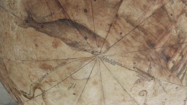 L’immagine raffigura le due piccole costellazioni australi del Dorado e del Piscis Volans, Pesce volante, entrambe prossime al polo sud celeste.  Il nome Dorado, termine spagnolo, identifica la Lampuga (Coryphaena hippurus). 
