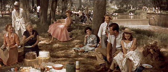 Picnic