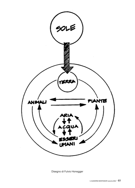 Schema