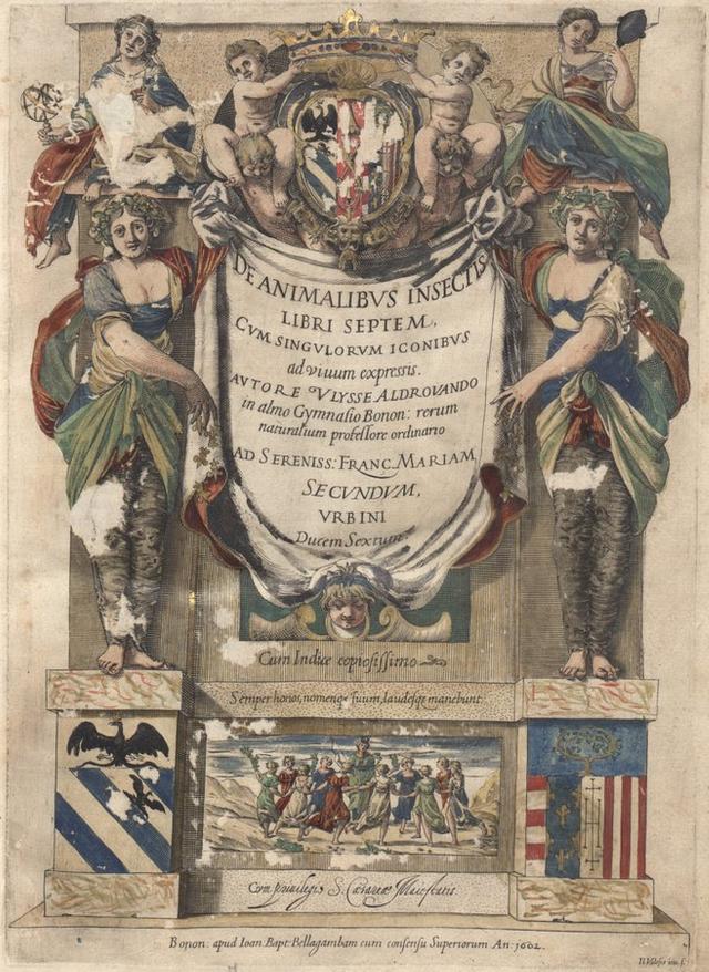 Ulisse Aldrovandi, “De animalibus insectis libri septem cum singulorum iconibus ad vivum expressis", versione a colori.