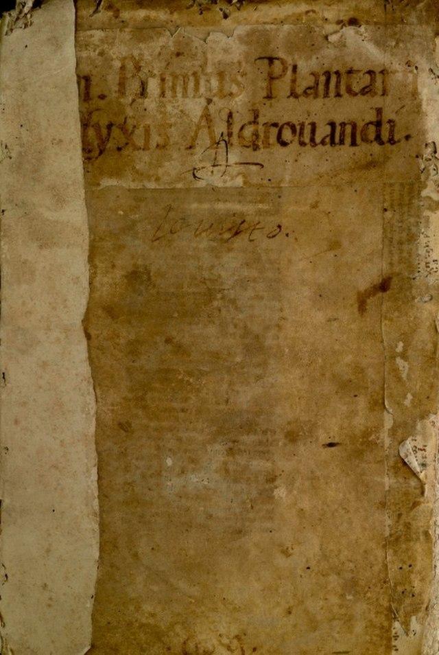 Erbario di Ulisse Aldrovandi, volume 1.
