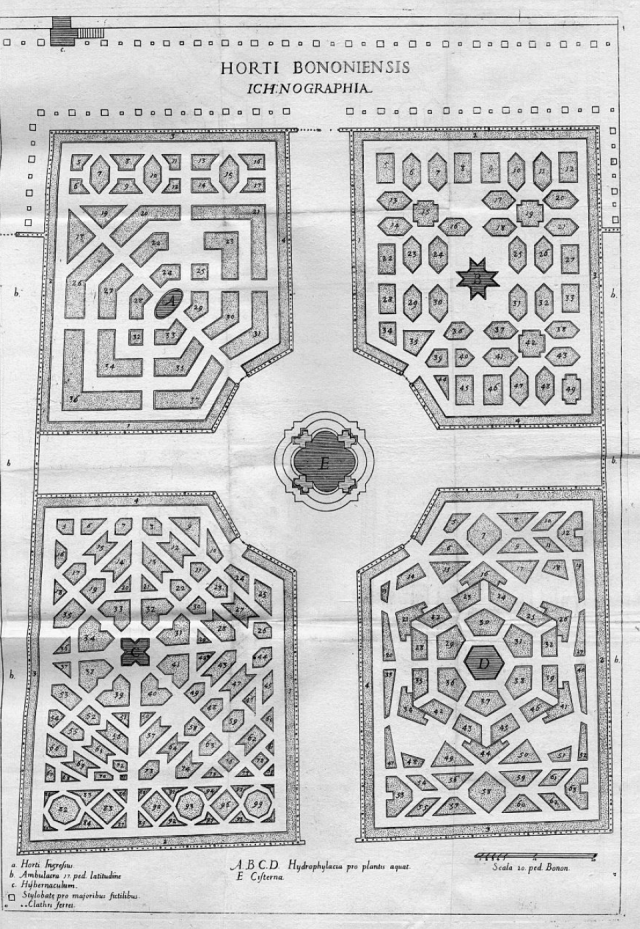 Mappa dell'Orto Botanico di Bologna (1568)