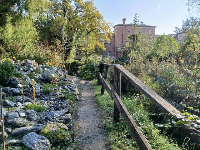 Orto Botanico di Bologna. Fotografia, novembre 2024