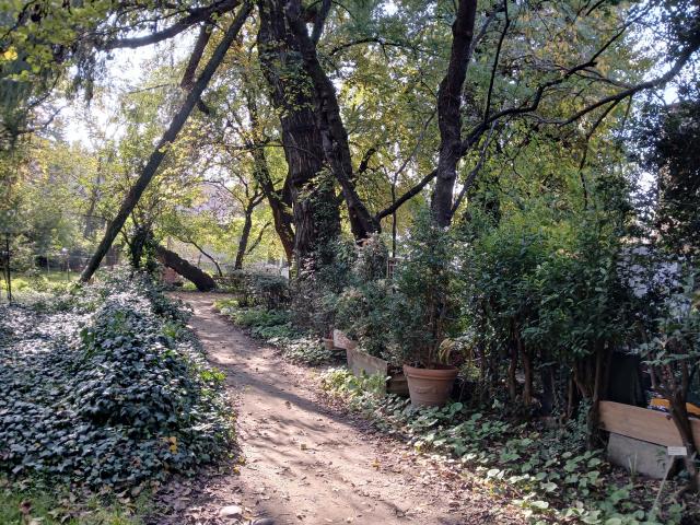 Orto Botanico di Bologna. Fotografia, novembre 2024