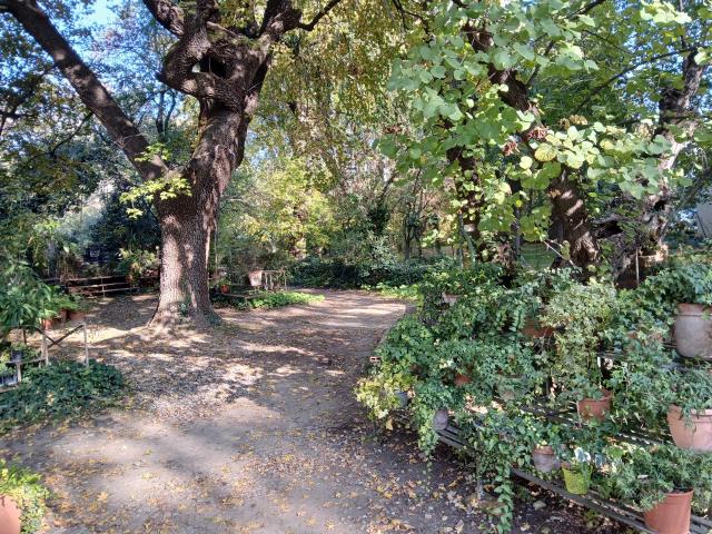 Orto Botanico di Bologna. Fotografia, novembre 2024