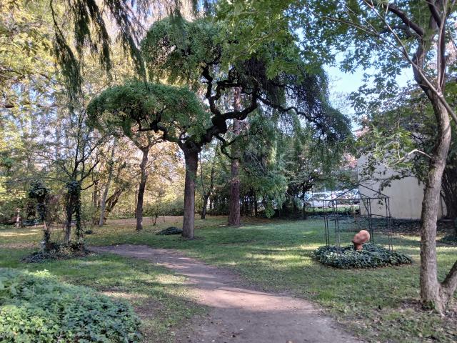 Orto Botanico di Bologna. Fotografia, novembre 2024