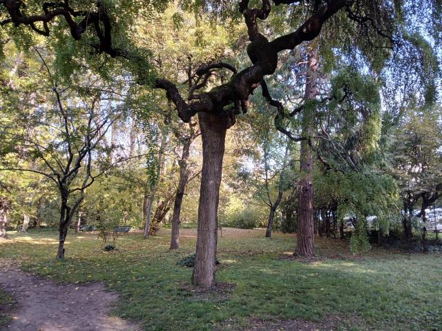 Orto Botanico di Bologna. Fotografia, novembre 2024