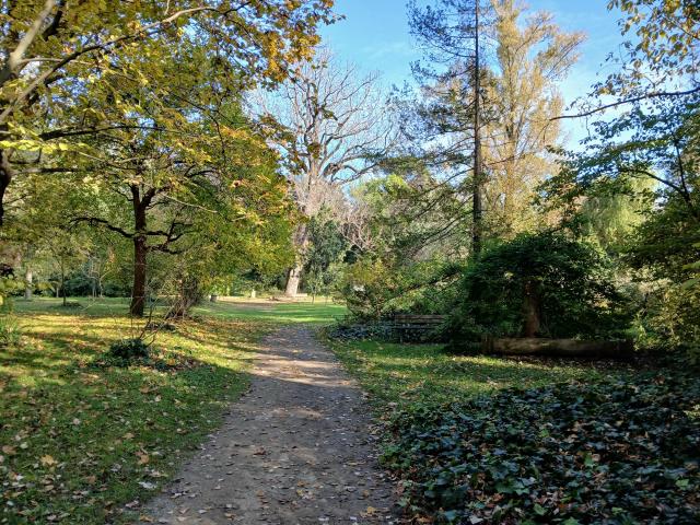 Orto Botanico di Bologna. Fotografia, novembre 2024