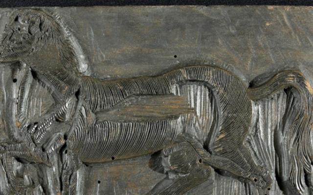 Pullus facie humana / Pullus equinus humana facie. Matrice xilografica della collezione di Ulisse Aldrovandi