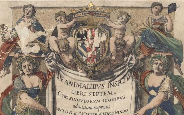 Ulisse Aldrovandi, “De animalibus insectis libri septem cum singulorum iconibus ad vivum expressis", versione a colori.