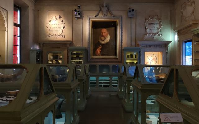 sala aldrovandi